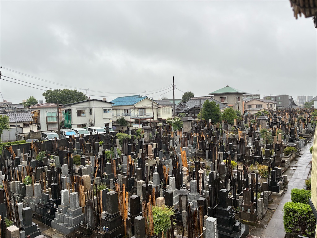 f:id:TokuheiKumagai:20260618171627j:image f:id:TokuheiKumagai:20260618171627j:image