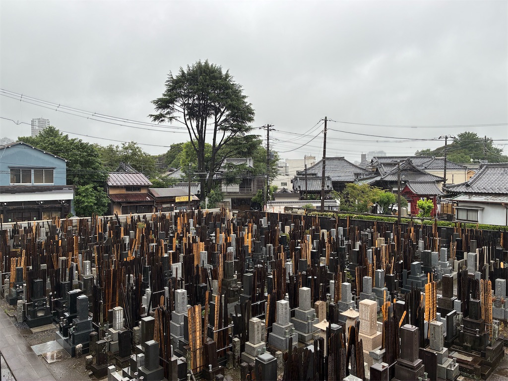 f:id:TokuheiKumagai:20260618171631j:image f:id:TokuheiKumagai:20260618171631j:image