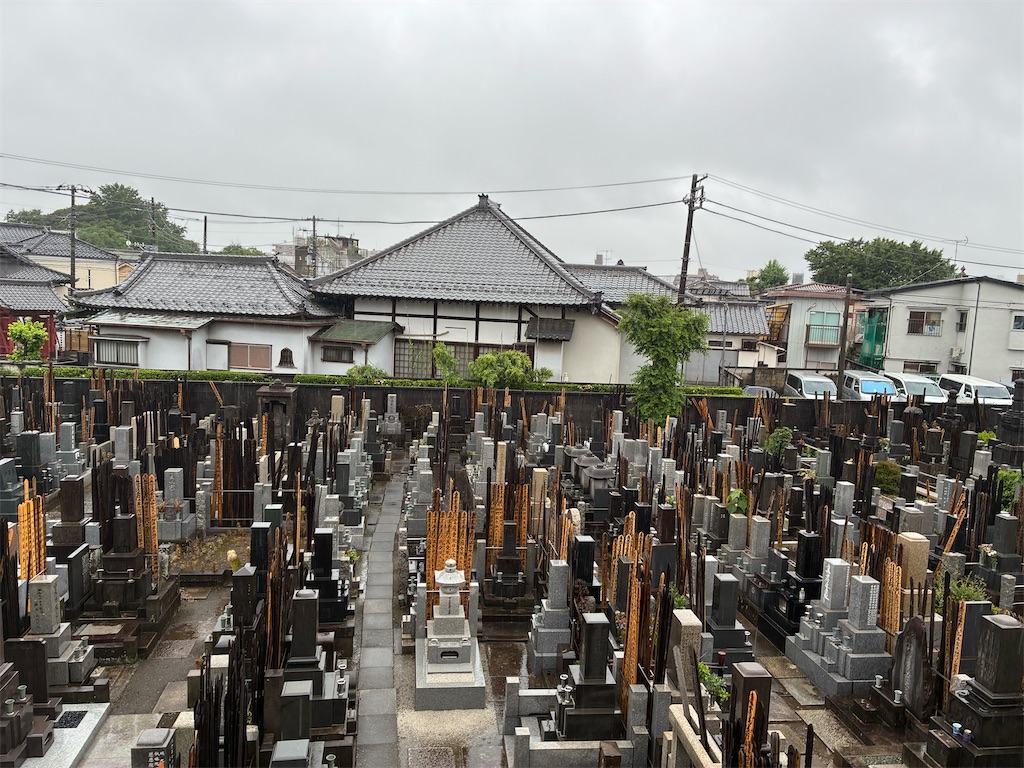 f:id:TokuheiKumagai:20260618171639j:image f:id:TokuheiKumagai:20260618171639j:image