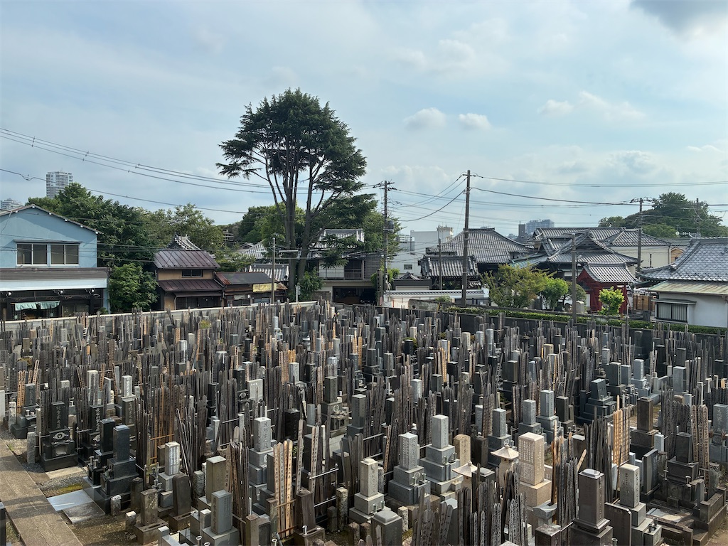 f:id:TokuheiKumagai:20260620234010j:image