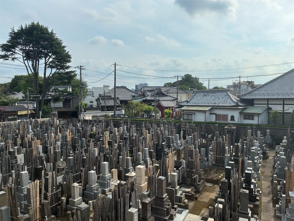 f:id:TokuheiKumagai:20260620234017j:image