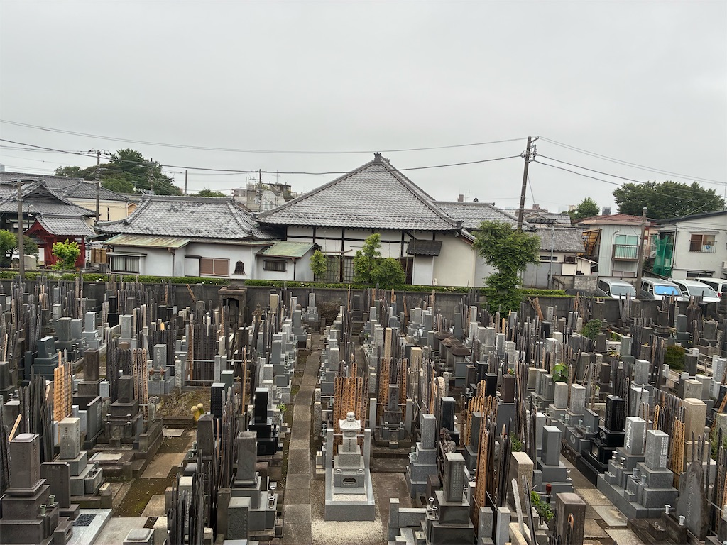 f:id:TokuheiKumagai:20260620234603j:image