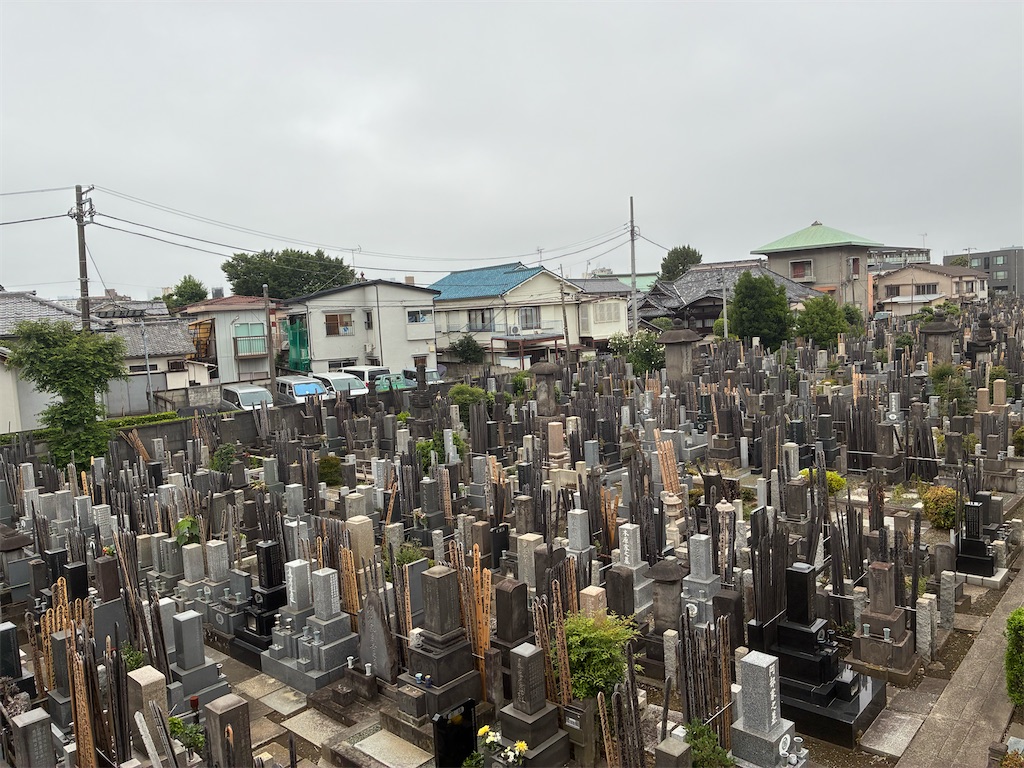 f:id:TokuheiKumagai:20260620234635j:image