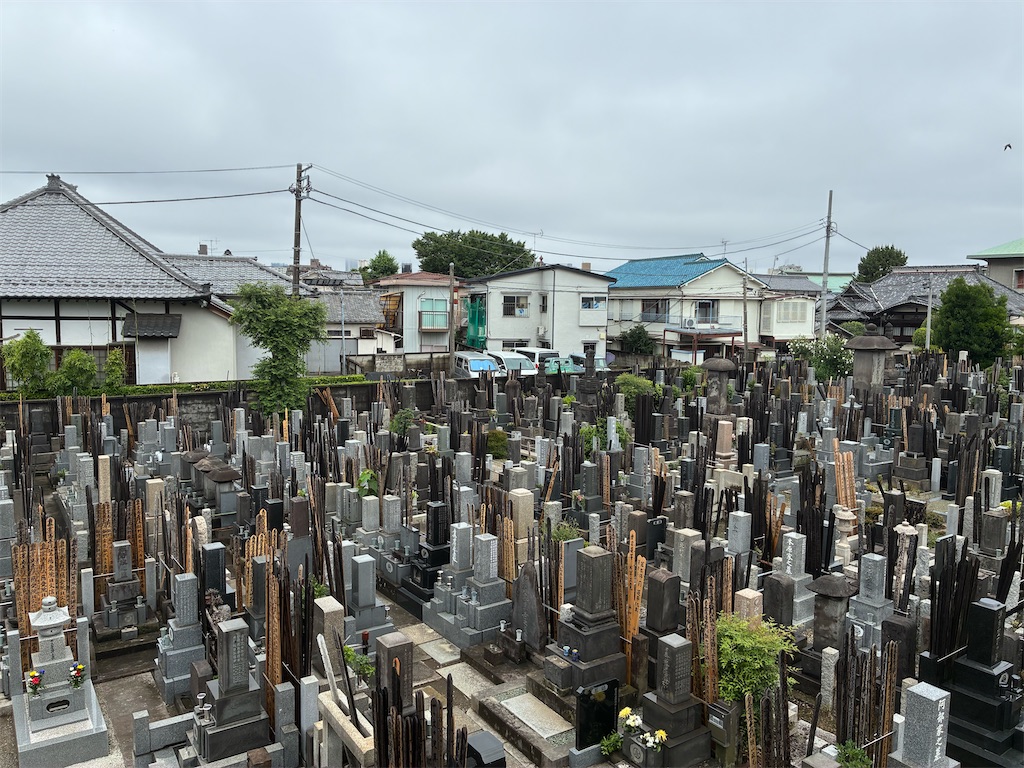 f:id:TokuheiKumagai:20260621203929j:image f:id:TokuheiKumagai:20260621203929j:image