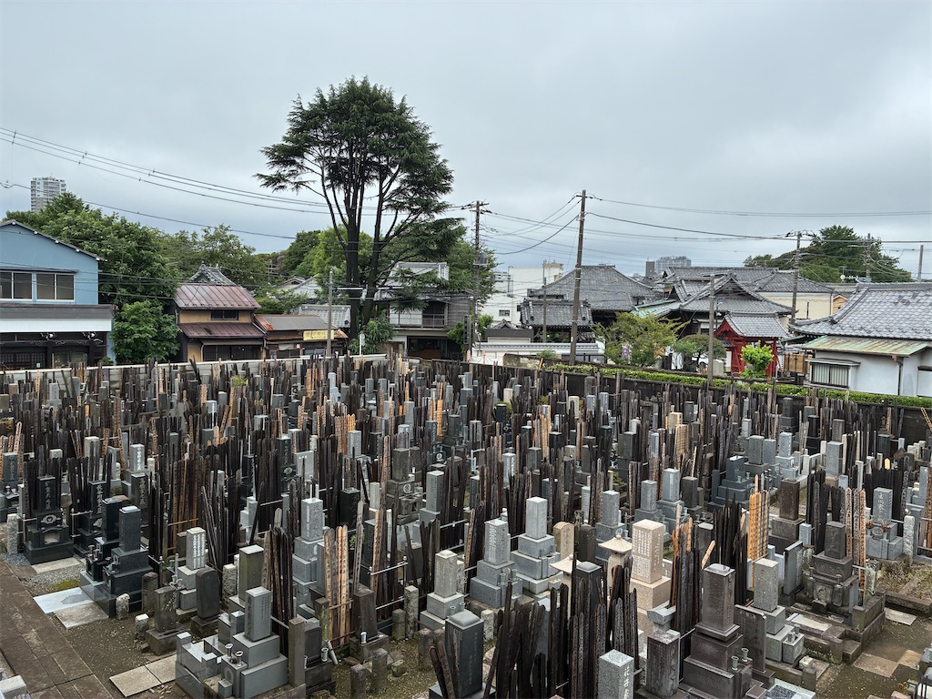 f:id:TokuheiKumagai:20260621203932j:image f:id:TokuheiKumagai:20260621203932j:image