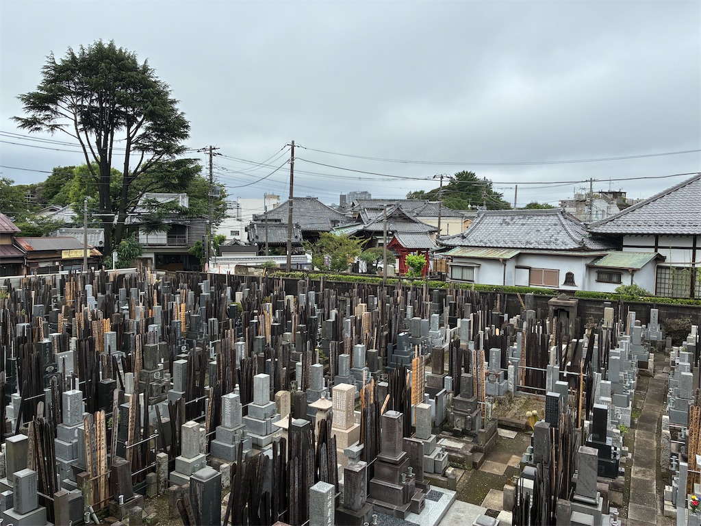 f:id:TokuheiKumagai:20260621204005j:image f:id:TokuheiKumagai:20260621204005j:image