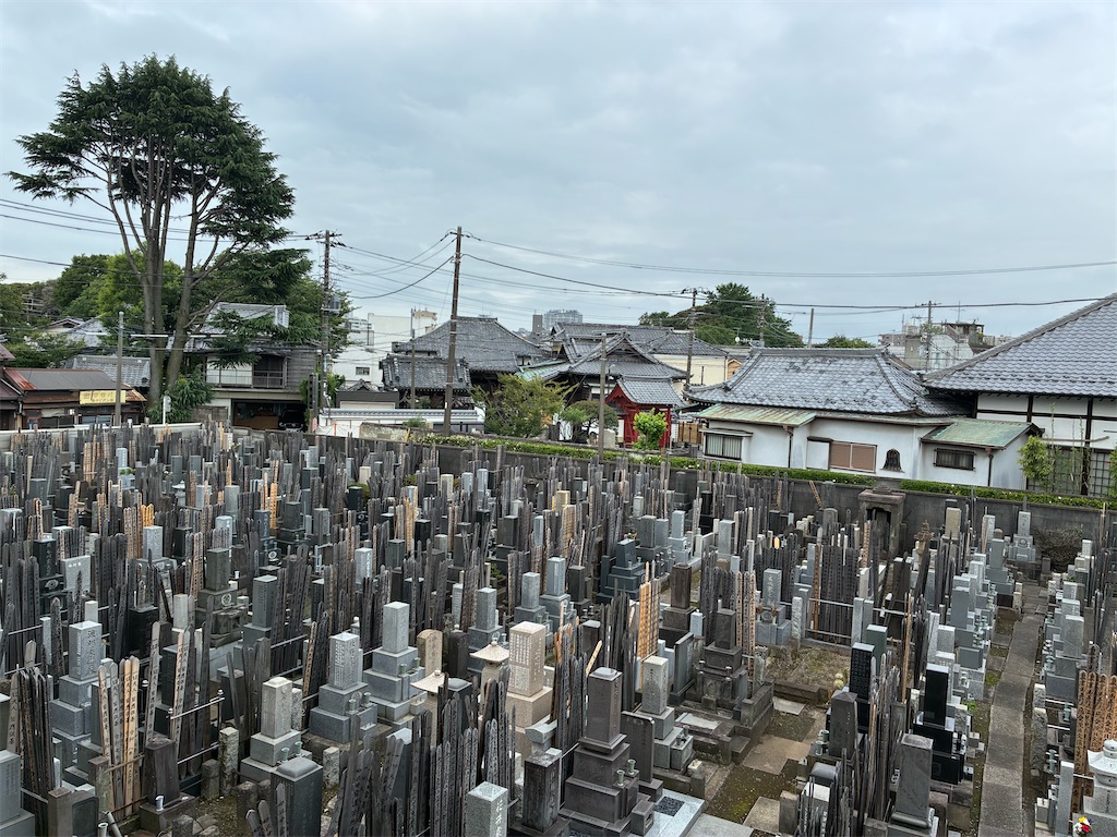 f:id:TokuheiKumagai:20260624143902j:image
