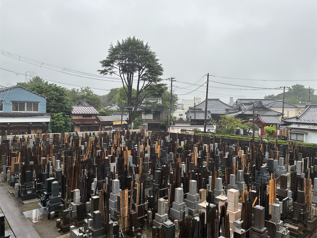 f:id:TokuheiKumagai:20260625175548j:image