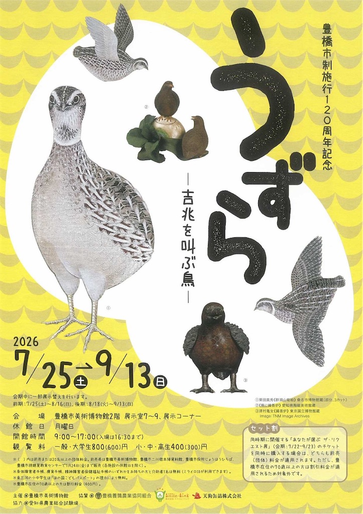 f:id:TokuheiKumagai:20260626144048j:image