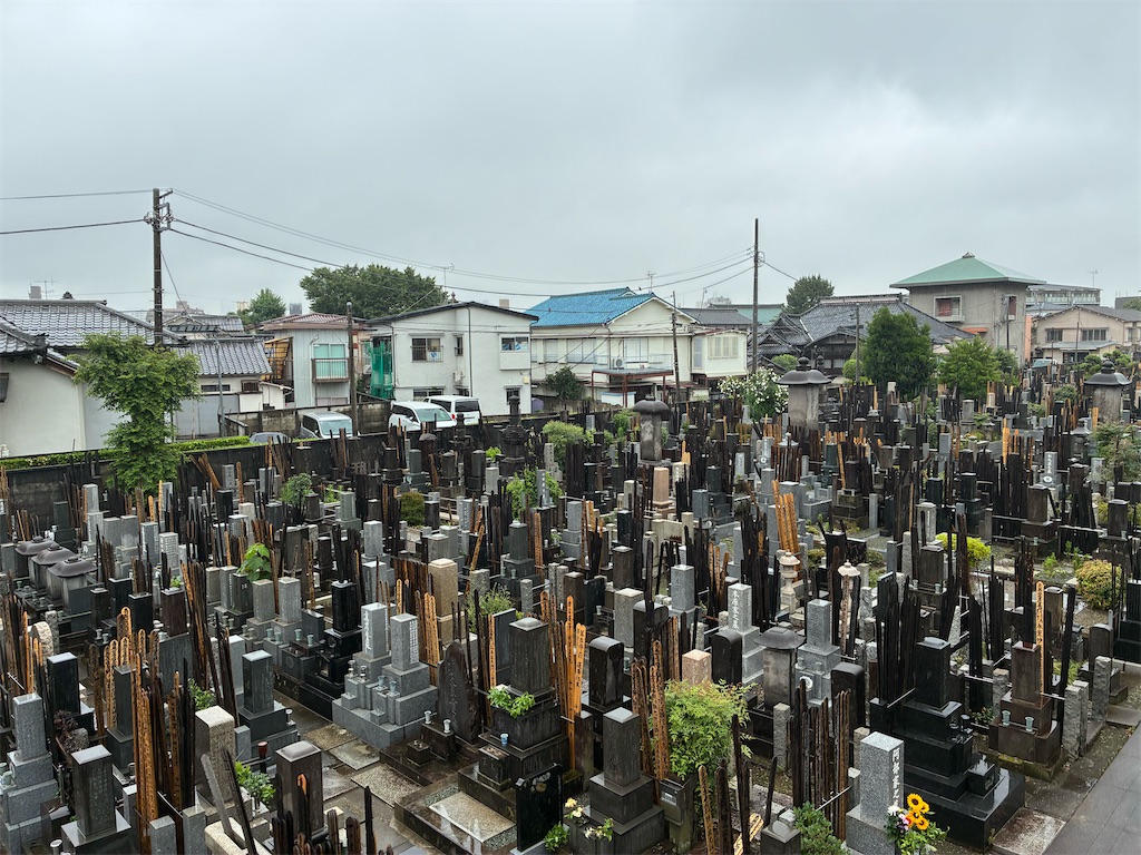 f:id:TokuheiKumagai:20260627200404j:image f:id:TokuheiKumagai:20260627200404j:image