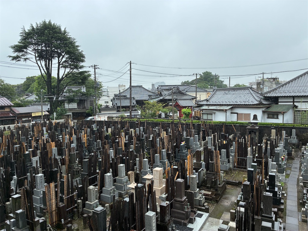 f:id:TokuheiKumagai:20260627200408j:image f:id:TokuheiKumagai:20260627200408j:image