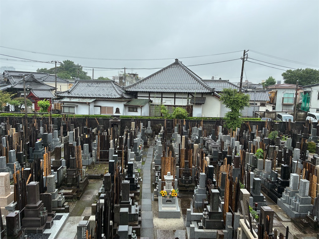f:id:TokuheiKumagai:20260627200411j:image f:id:TokuheiKumagai:20260627200411j:image