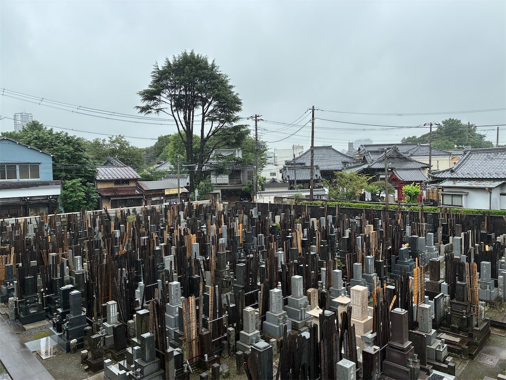 f:id:TokuheiKumagai:20260627200416j:image f:id:TokuheiKumagai:20260627200416j:image