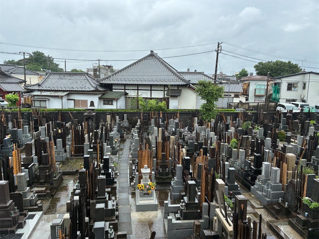 f:id:TokuheiKumagai:20260628123609j:image