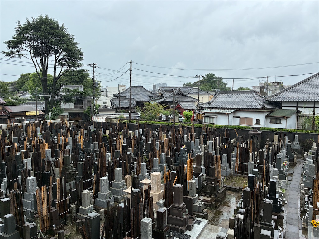 f:id:TokuheiKumagai:20260628123618j:image