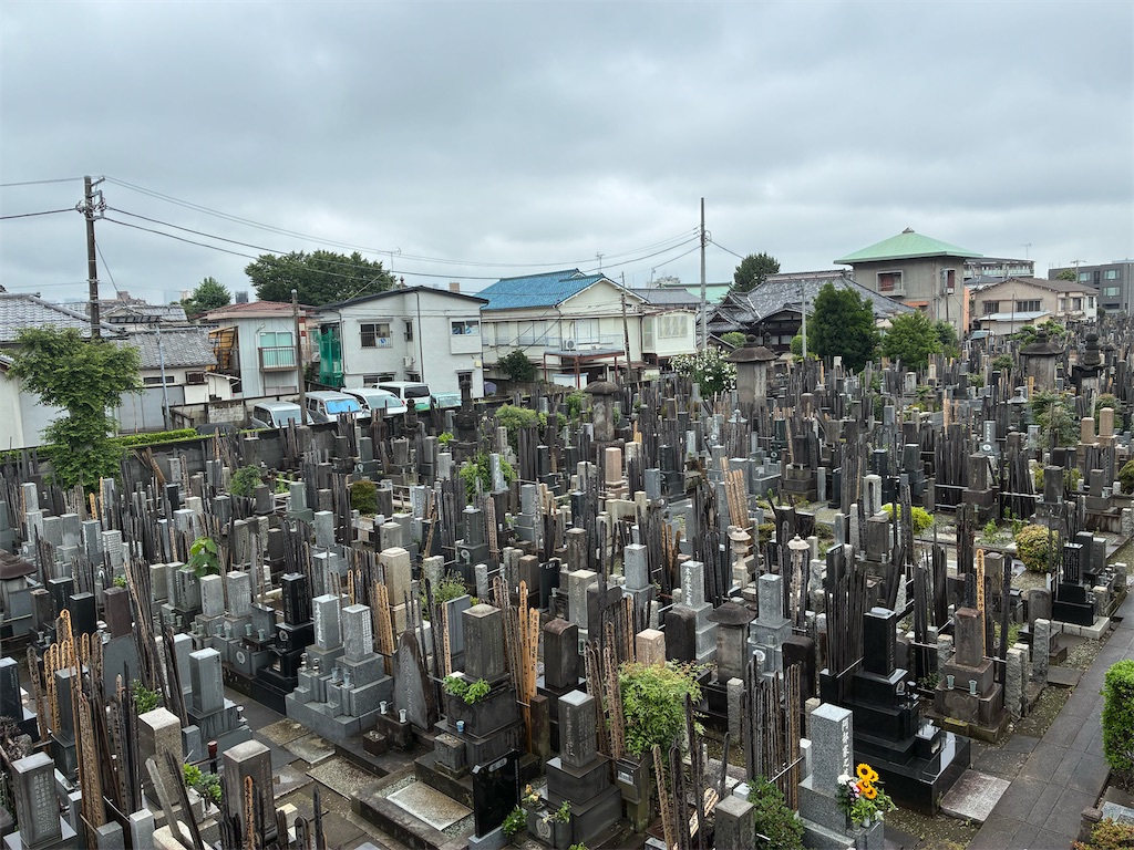 f:id:TokuheiKumagai:20260629143232j:image