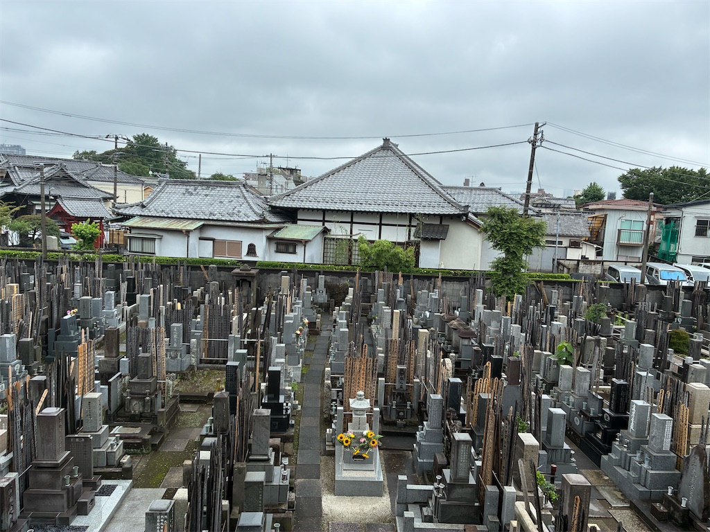 f:id:TokuheiKumagai:20260629143237j:image