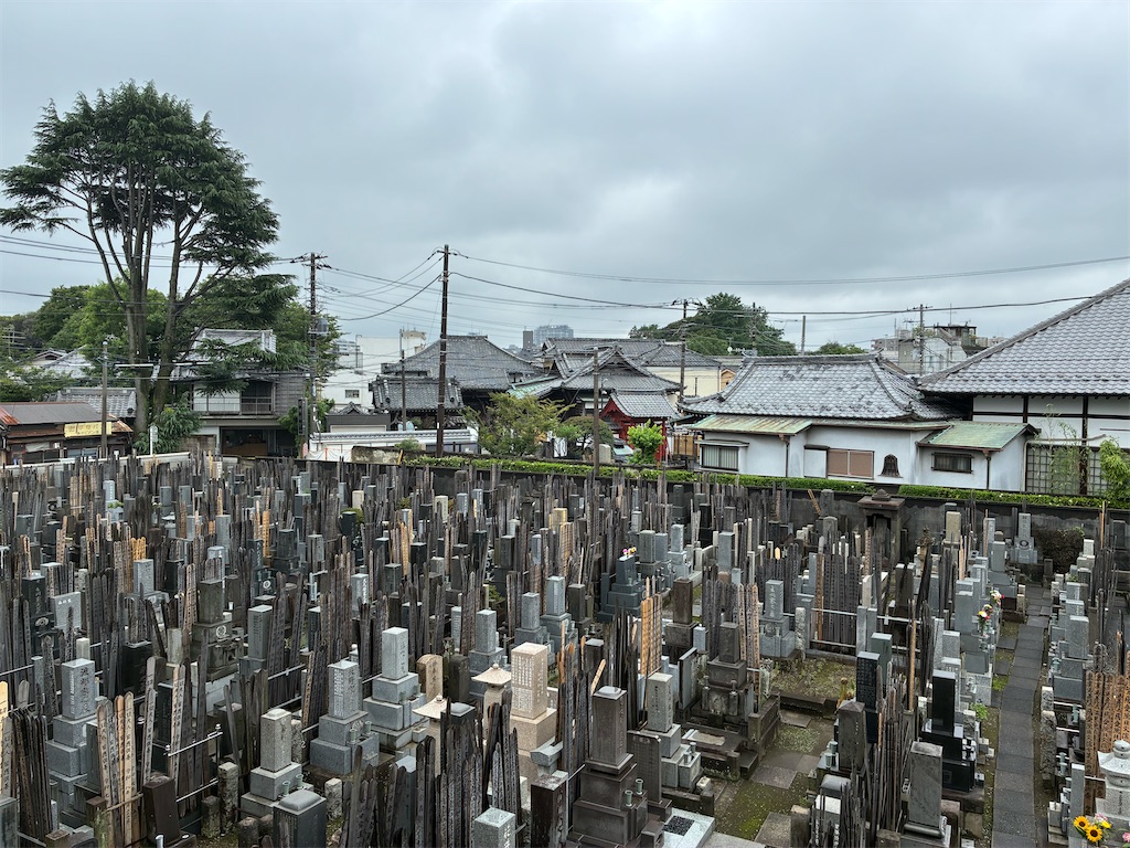 f:id:TokuheiKumagai:20260629143249j:image
