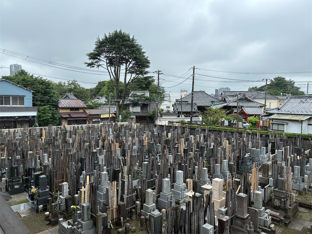 f:id:TokuheiKumagai:20260629143253j:image
