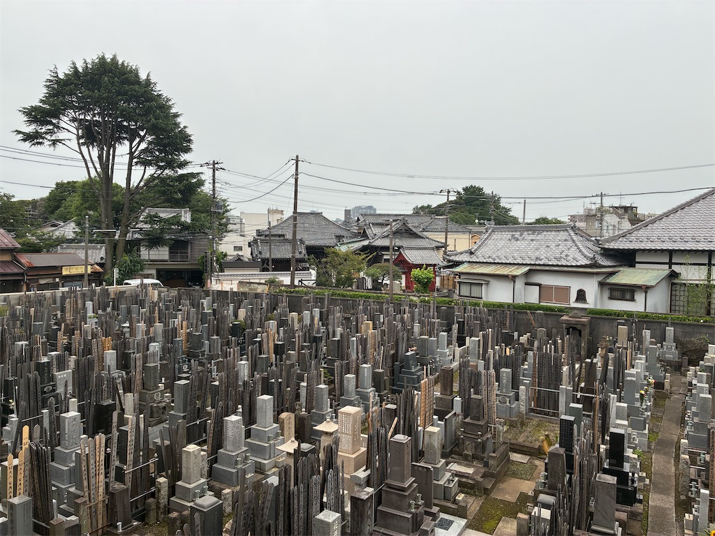 f:id:TokuheiKumagai:20260701181317j:image