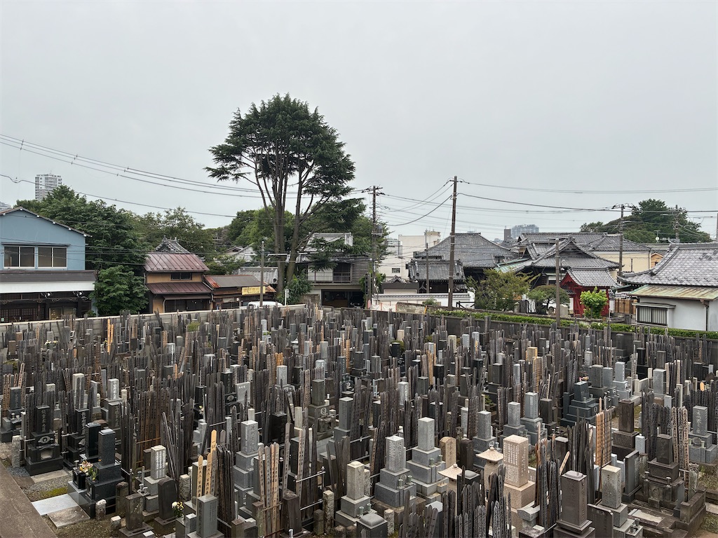 f:id:TokuheiKumagai:20260701181325j:image