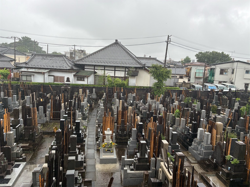 f:id:TokuheiKumagai:20260702215122j:image
