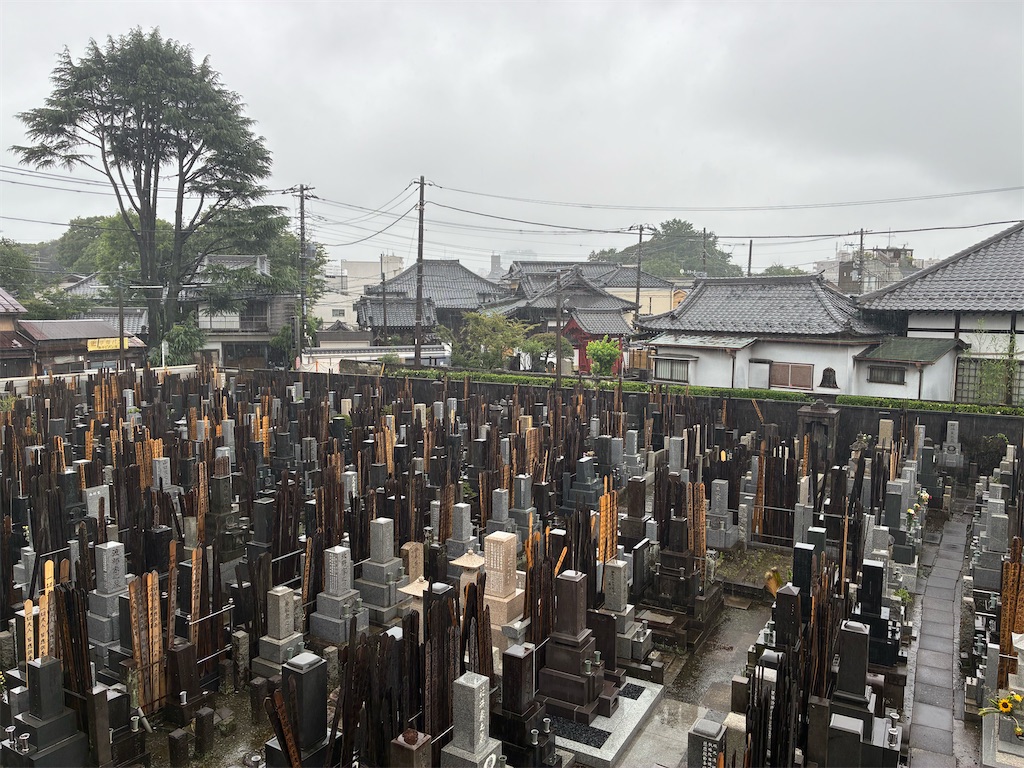 f:id:TokuheiKumagai:20260702215134j:image