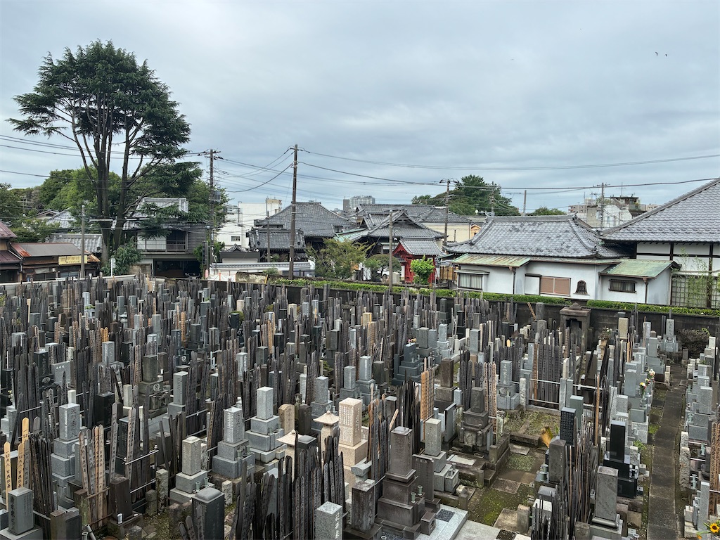 f:id:TokuheiKumagai:20260703084712j:image f:id:TokuheiKumagai:20260703084712j:image