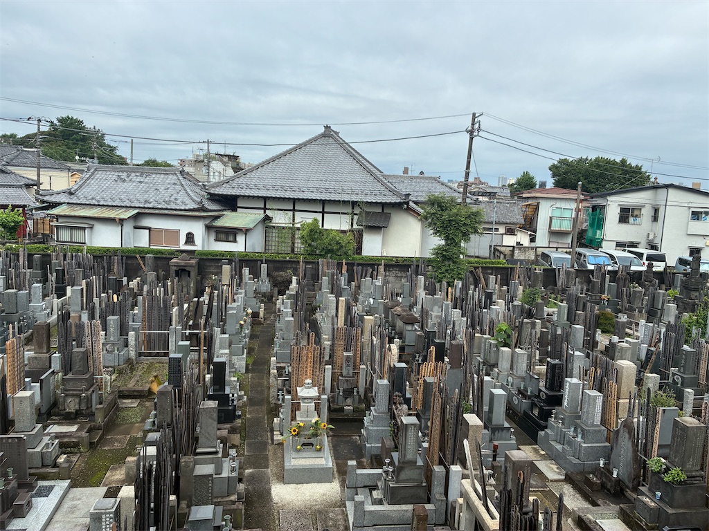 f:id:TokuheiKumagai:20260703084719j:image f:id:TokuheiKumagai:20260703084719j:image