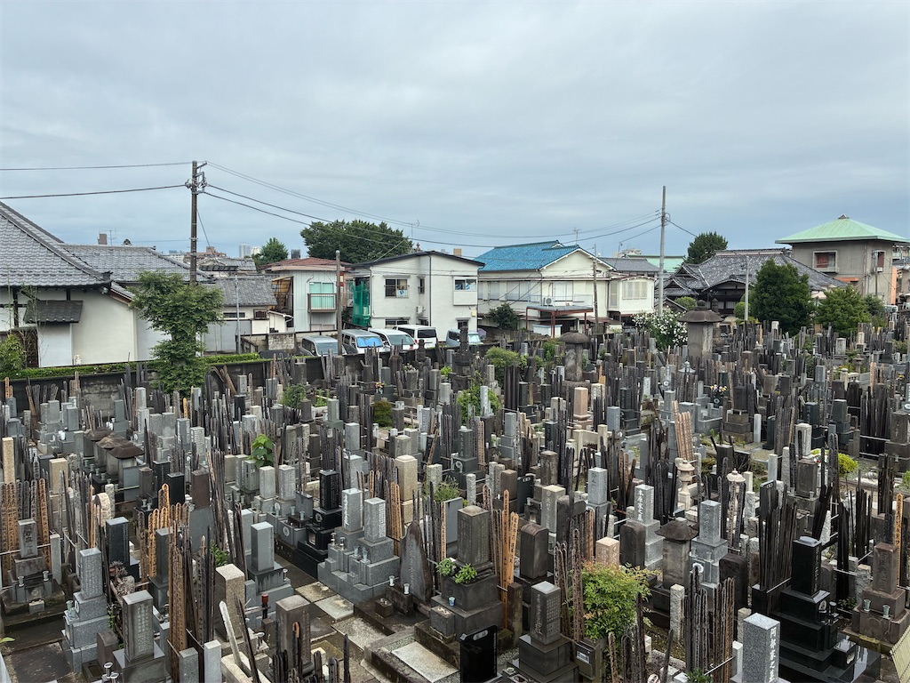 f:id:TokuheiKumagai:20260703084722j:image f:id:TokuheiKumagai:20260703084722j:image