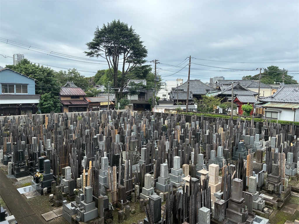 f:id:TokuheiKumagai:20260703084725j:image f:id:TokuheiKumagai:20260703084725j:image
