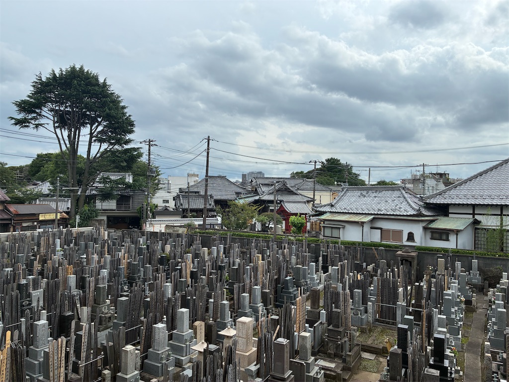 f:id:TokuheiKumagai:20260704221623j:image