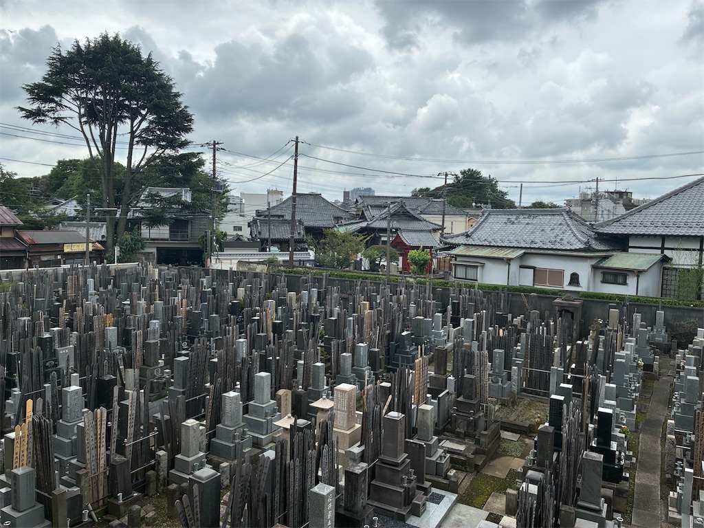 f:id:TokuheiKumagai:20260705145312j:image