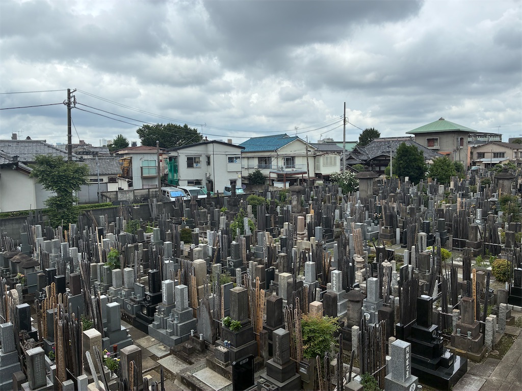f:id:TokuheiKumagai:20260705145320j:image