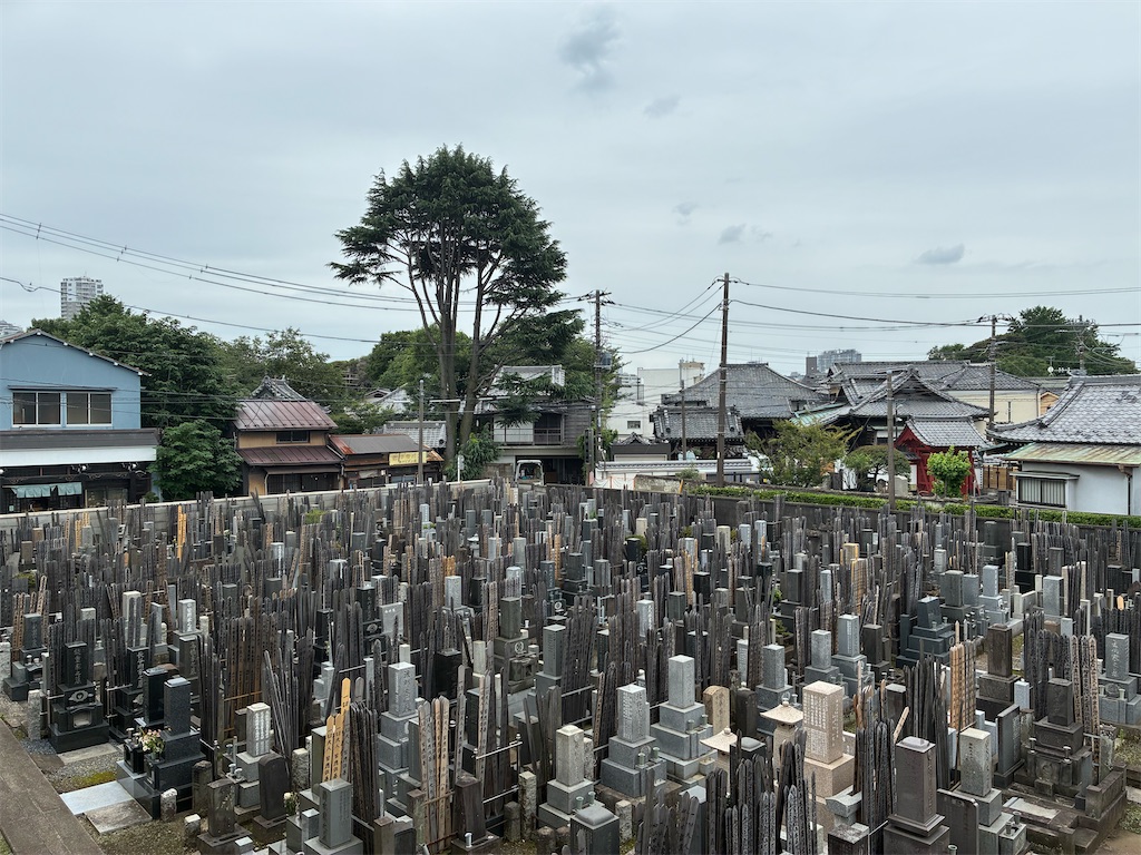 f:id:TokuheiKumagai:20260706203258j:image