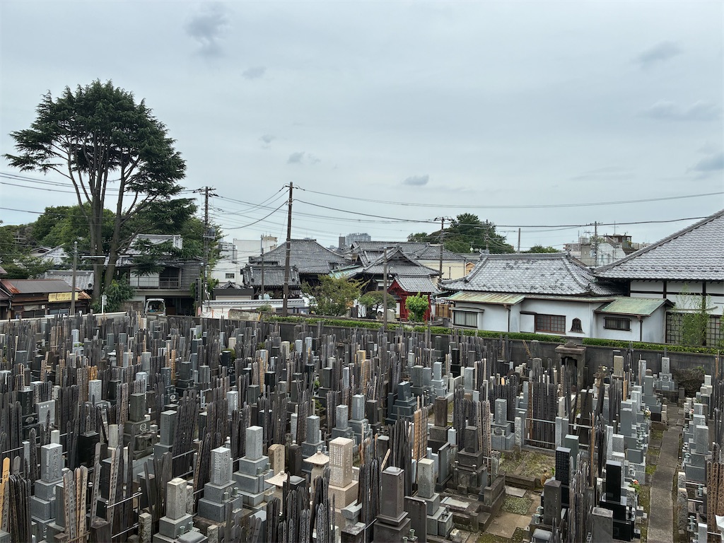 f:id:TokuheiKumagai:20260706203304j:image