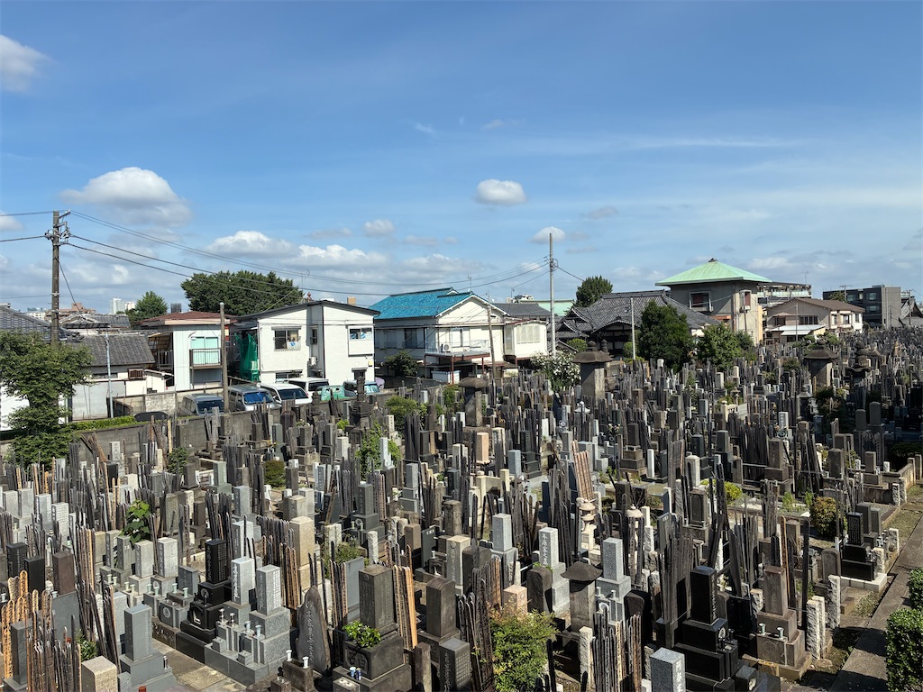 f:id:TokuheiKumagai:20260708091146j:image