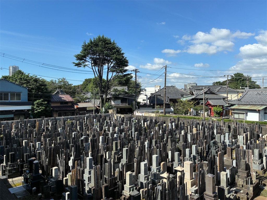 f:id:TokuheiKumagai:20260708091155j:image