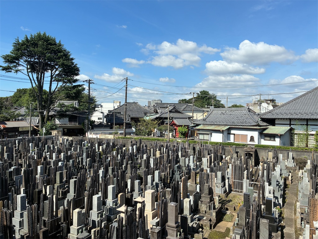 f:id:TokuheiKumagai:20260708091158j:image