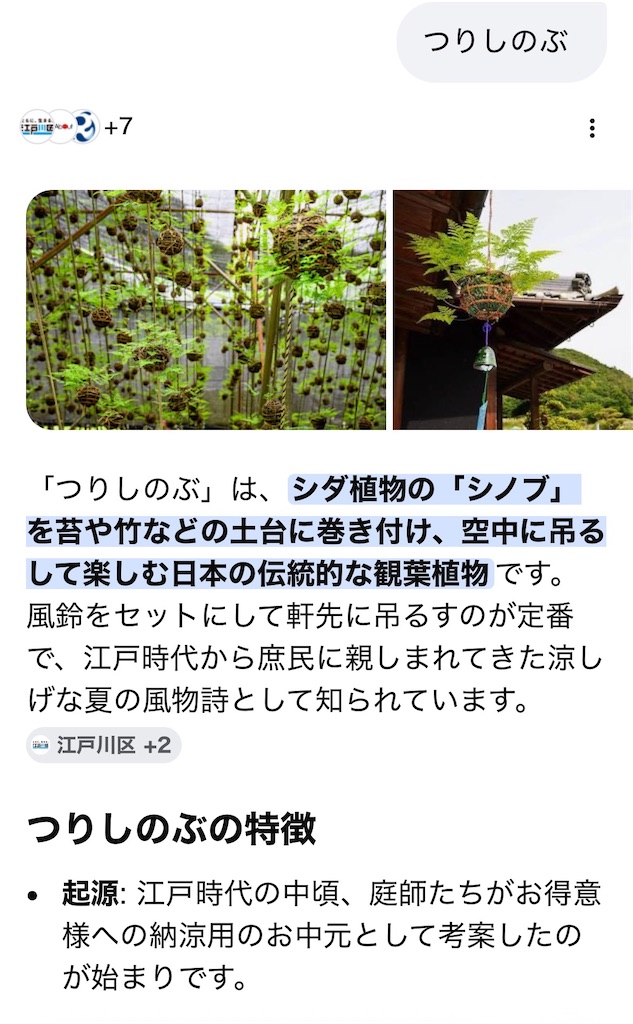 f:id:TokuheiKumagai:20260708091559j:image