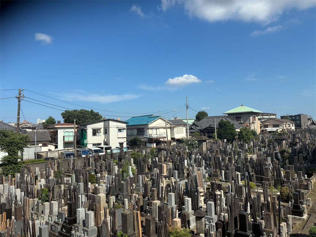 f:id:TokuheiKumagai:20260709173721j:image f:id:TokuheiKumagai:20260709173721j:image