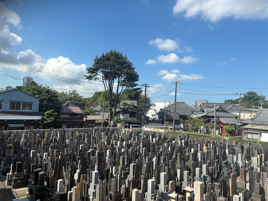 f:id:TokuheiKumagai:20260709173725j:image f:id:TokuheiKumagai:20260709173725j:image