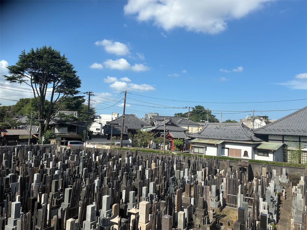 f:id:TokuheiKumagai:20260709173739j:image f:id:TokuheiKumagai:20260709173739j:image