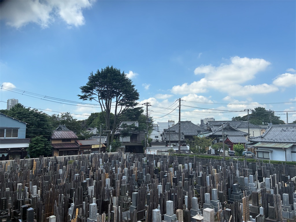 f:id:TokuheiKumagai:20260710123210j:image f:id:TokuheiKumagai:20260710123210j:image