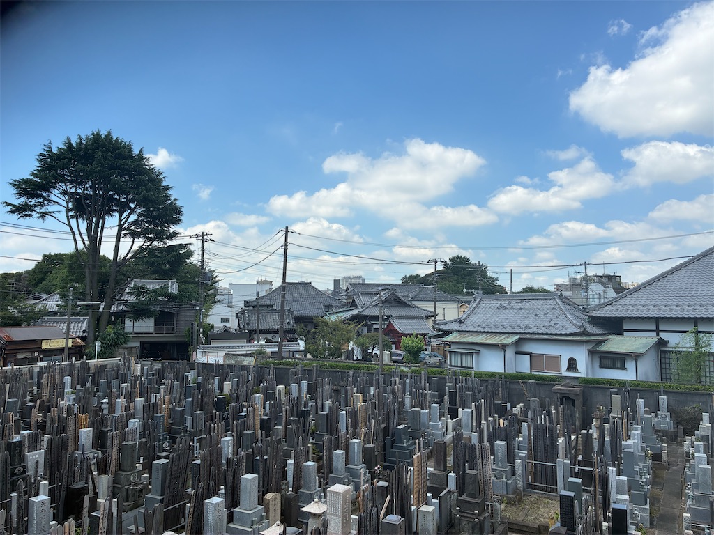 f:id:TokuheiKumagai:20260710123221j:image f:id:TokuheiKumagai:20260710123221j:image