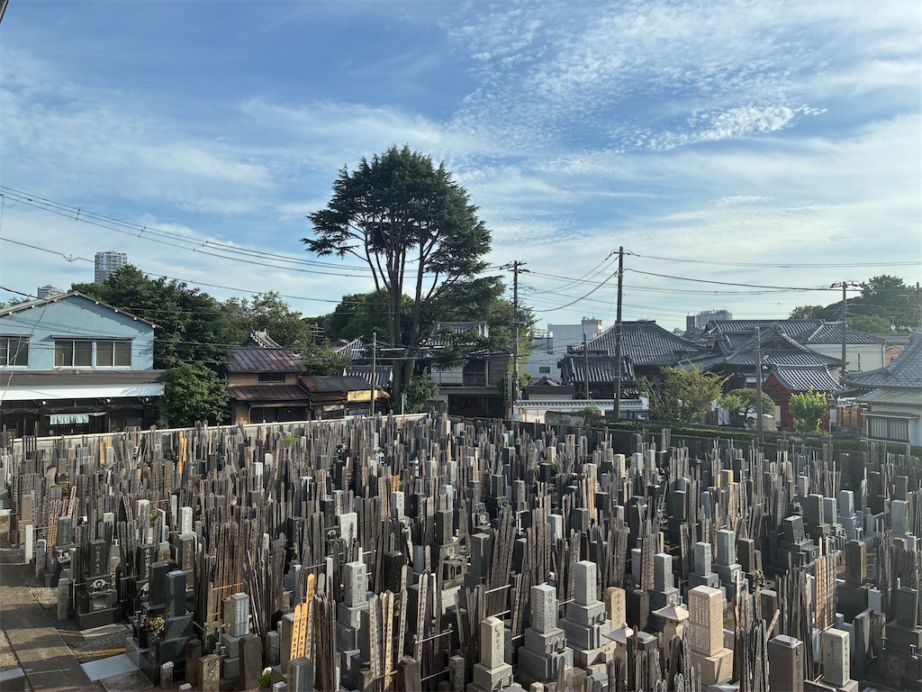 f:id:TokuheiKumagai:20260712120318j:image