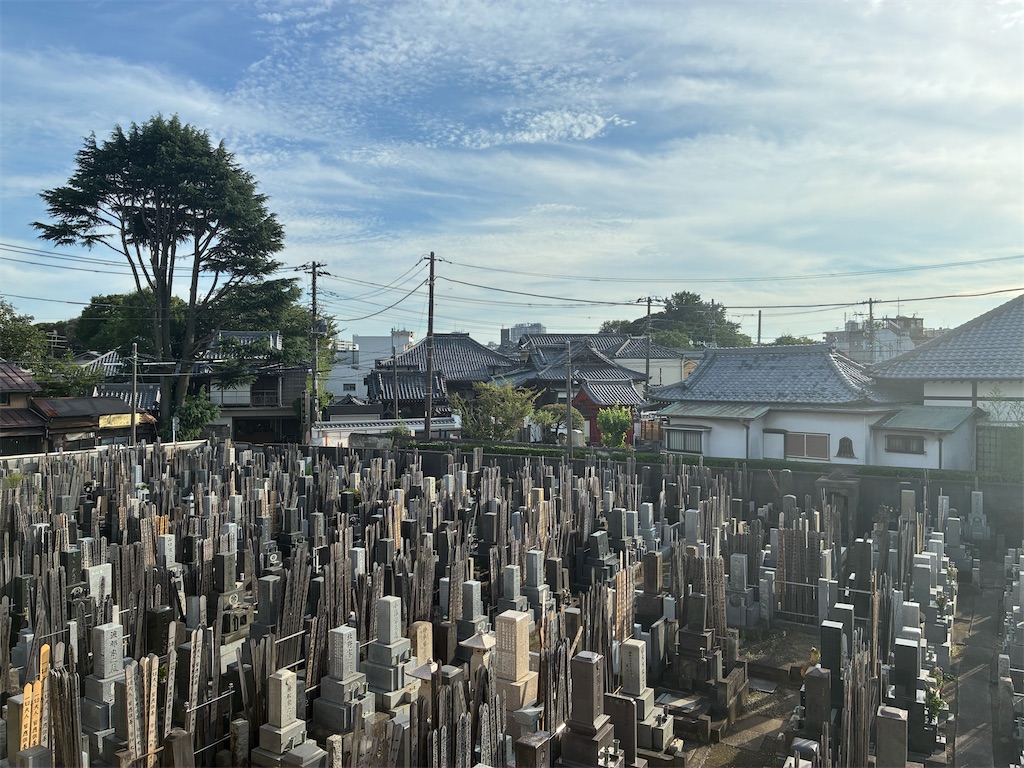 f:id:TokuheiKumagai:20260712120328j:image