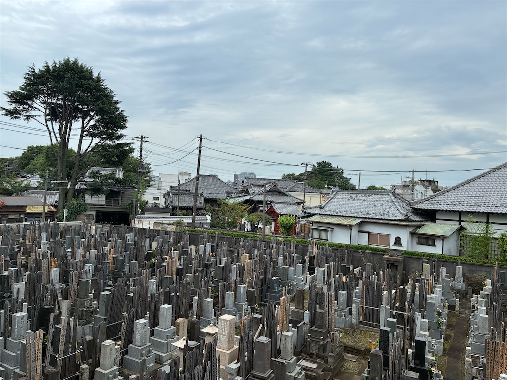 f:id:TokuheiKumagai:20260713234440j:image