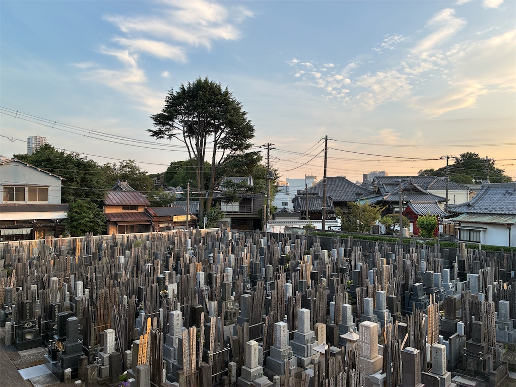 f:id:TokuheiKumagai:20260714193740j:image f:id:TokuheiKumagai:20260714193740j:image