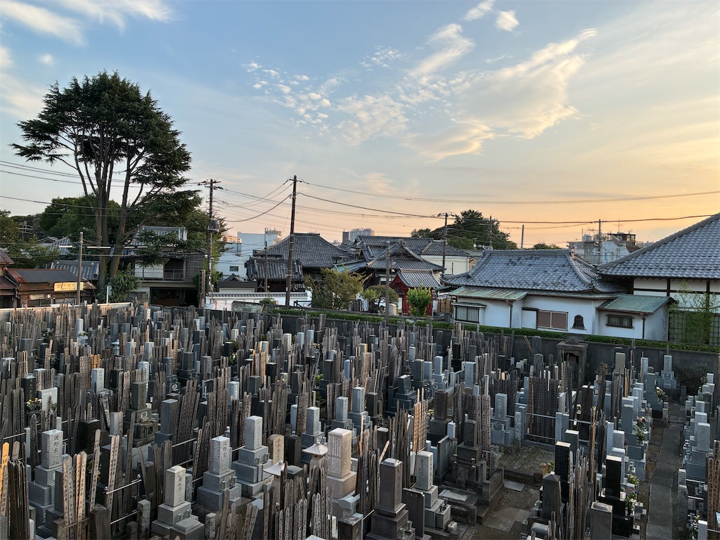 f:id:TokuheiKumagai:20260714193744j:image f:id:TokuheiKumagai:20260714193744j:image